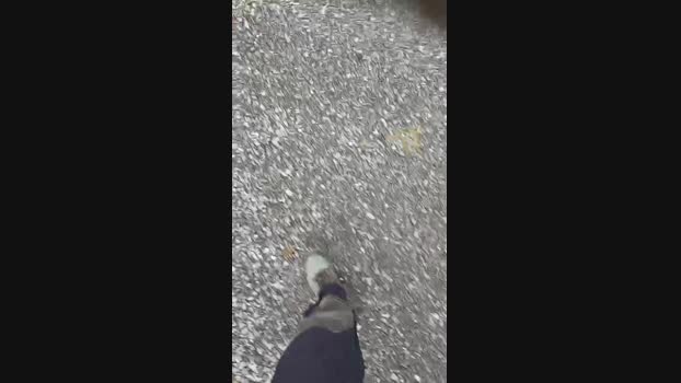 Norman_82 21-01-2024 Recorded Video cute