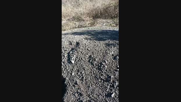 marcoroma57 21-01-2024 Recorded Video bigload