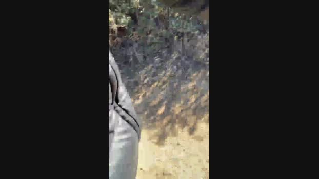 ropalmax 21-01-2024 Recorded Video love