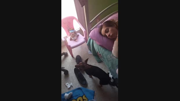 Josemanuelpazh 24-01-2024 Recorded Video ass