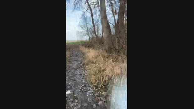 Joueurh 24-01-2024 Recorded Video cute