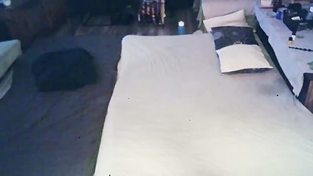 SchagenNH 23-01-2024 Recorded Video bigcock