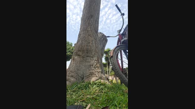ctoned 24-01-2024 Recorded Video beautiful