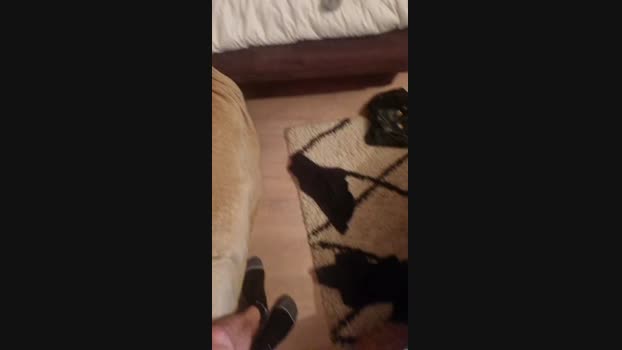 diorchanel28 24-01-2024 Recorded Video kinky