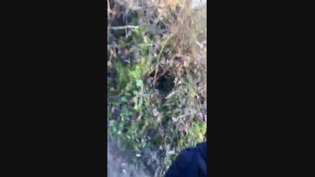 nafets_hot 26-01-2024 Recorded Video fuckass