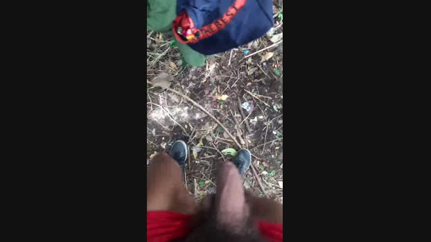 recoblue22cm 25-01-2024 Recorded Video big
