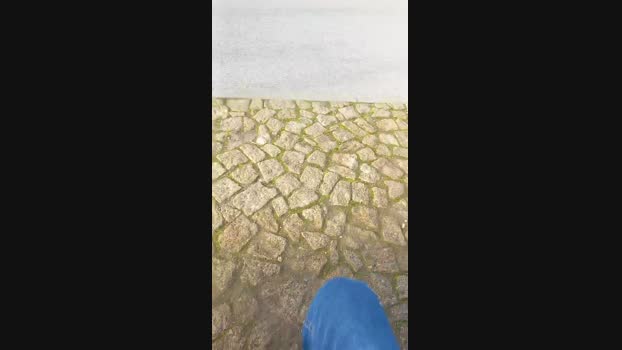 Guilhermebrpt88 26-01-2024 Recorded Video bicurious