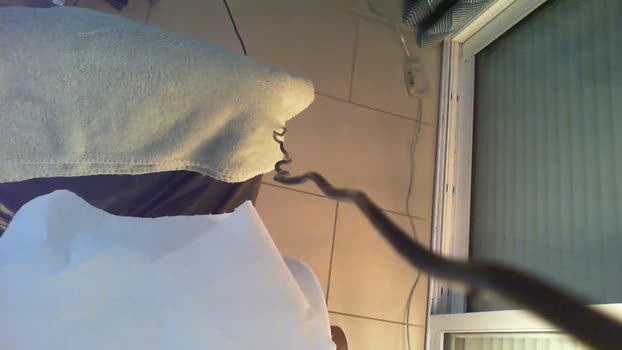 Lesrochelais60 27-01-2024 Recorded Video naughty