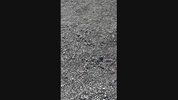 marcoroma57 27-01-2024 Recorded Video naughty