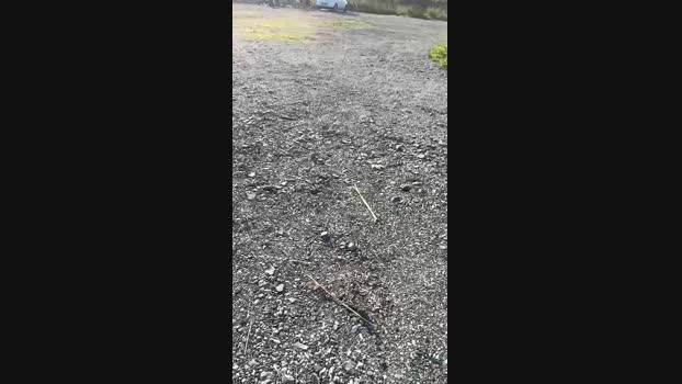 marcoroma57 27-01-2024 Recorded Video jerkoff