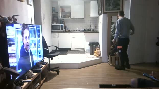 mihaimichael 26-01-2024 Recorded Video gag