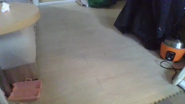 Hkrabs 28-01-2024 Recorded Video striptease