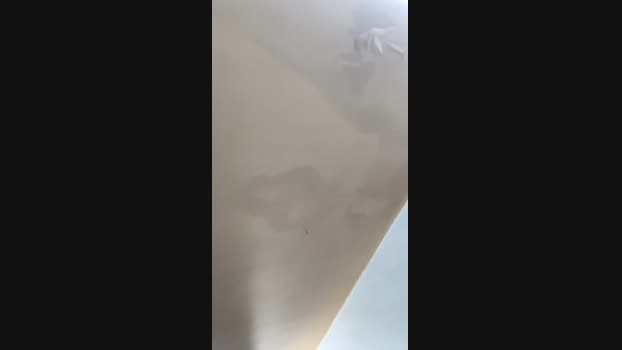 novinhosafadin7 28-01-2024 Recorded Video lick