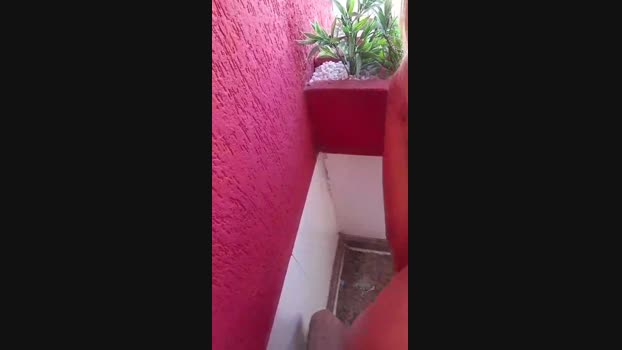 Novinho_S2_ 28-01-2024 Recorded Video deep