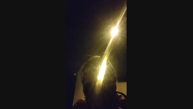 polaands 29-01-2024 Recorded Video sexykitty