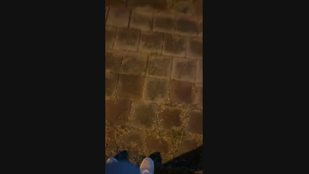 Foxfoxfox 30-01-2024 Recorded Video bigballs