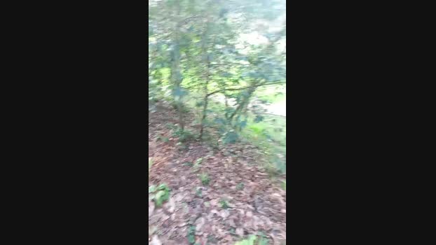 Guilhermebrpt88 30-01-2024 Recorded Video gag