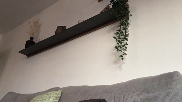 lukas480 29-01-2024 Recorded Video wank