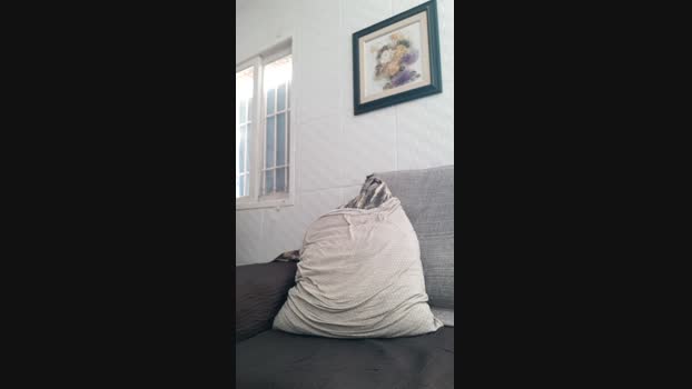 recoblue22cm 31-01-2024 Recorded Video amateur