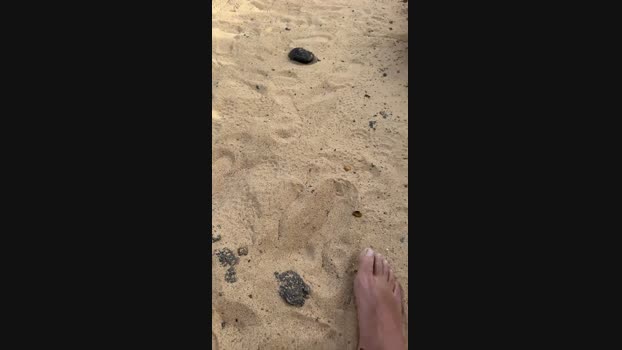 Chicoisleno 31-01-2024 Recorded Video bigballs