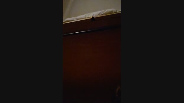 kaleju0031 31-01-2024 Recorded Video Webcam