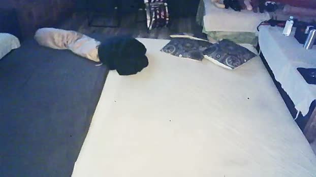 SchagenNH 03-02-2024 Recorded Video gag