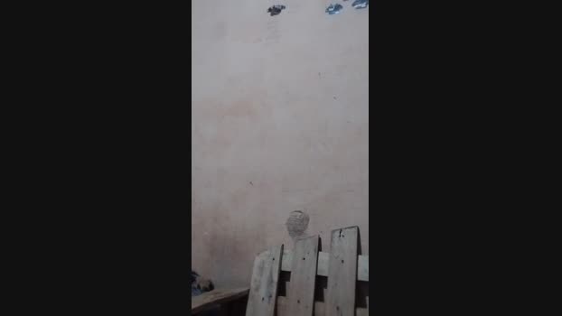 ElTioRuli 04-02-2024 Recorded Video fuckhard