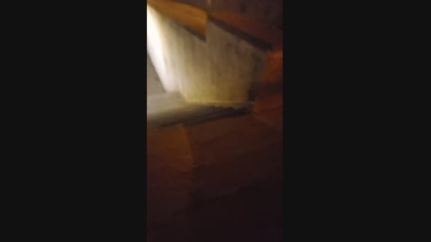 Guilhermebrpt88 03-02-2024 Recorded Video yummy