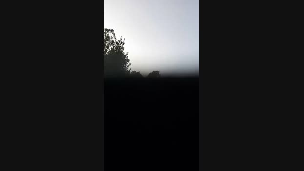 bearcruising85 03-02-2024 Recorded Video beauty
