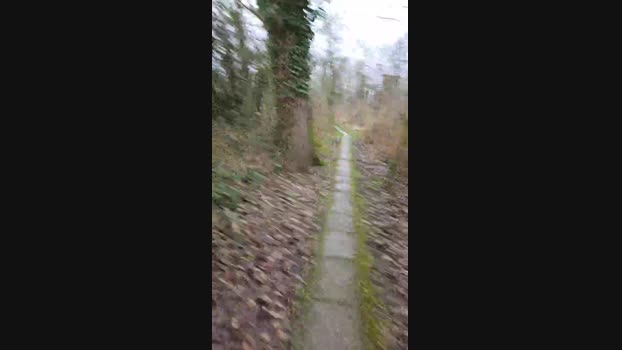 monsterlover 04-02-2024 Recorded Video wank