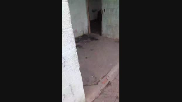 Guyfavelado193 04-02-2024 Recorded Video fuckher