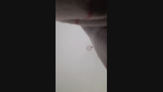 SandraJorge2hot 05-02-2024 Recorded Video bigdick