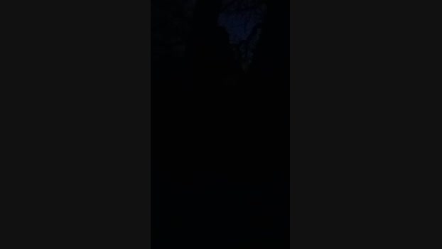bearcruising85 04-02-2024 Recorded Video bigtoys