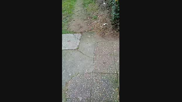bearcruising85 04-02-2024 Recorded Video skinny