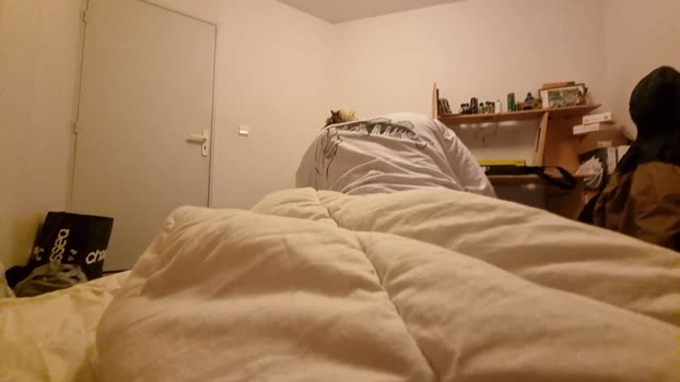 diorchanel28 04-02-2024 Recorded Video jerkoff