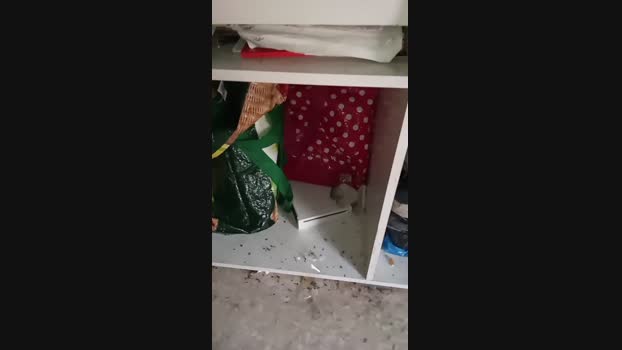 Josemanuelpazh 05-02-2024 Recorded Video fuck