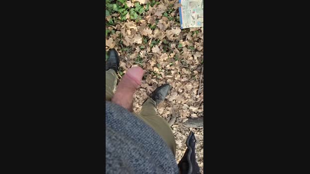 Scarearies 06-02-2024 Recorded Video analtoy