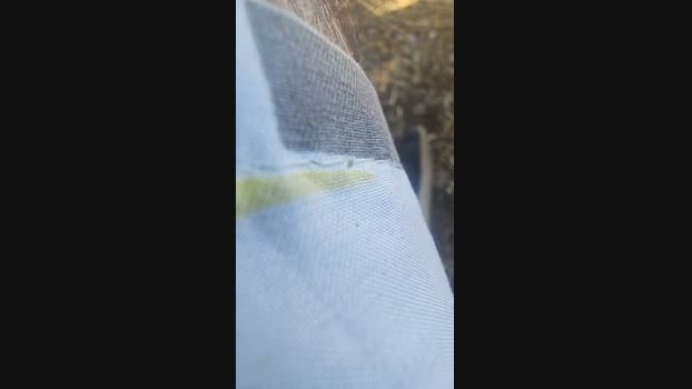 Edgarram 06-02-2024 Recorded Video lick