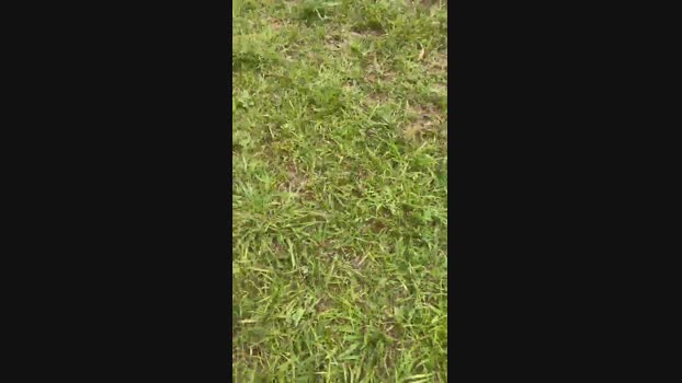 Skinny23cm 07-02-2024 Recorded Video amateur