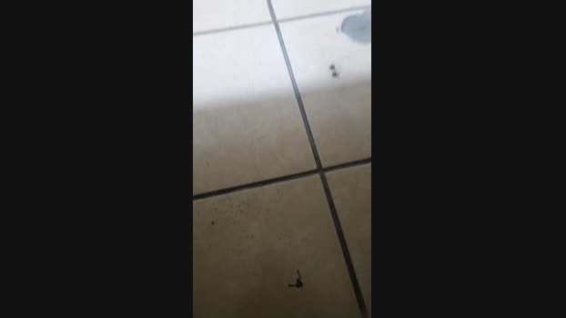 ctoned 06-02-2024 Recorded Video hard