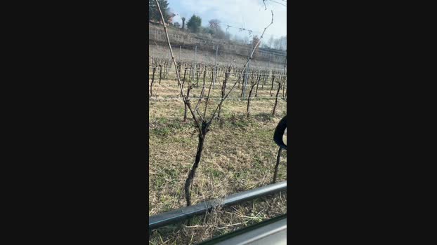 Wildm3 08-02-2024 Recorded Video show