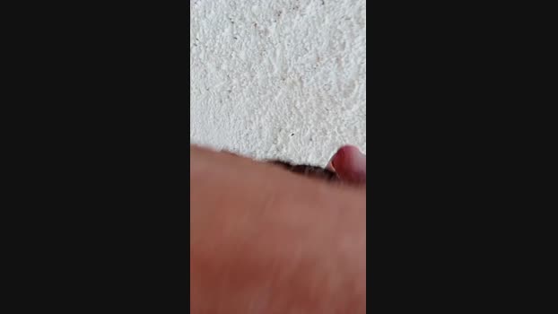 exhibius 09-02-2024 Recorded Video sex