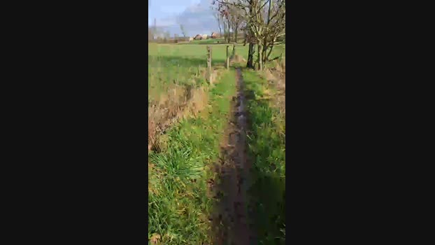 monsterlover 09-02-2024 Recorded Video moan