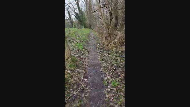 monsterlover 09-02-2024 Recorded Video Pretty