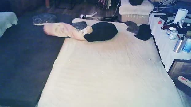 SchagenNH 10-02-2024 Recorded Video orgasm