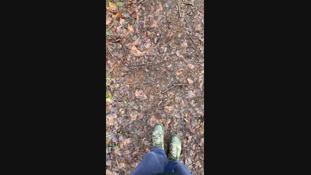 bonker82 10-02-2024 Recorded Video gag