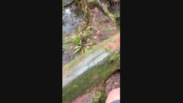Diegomorbo_str 10-02-2024 Recorded Video play