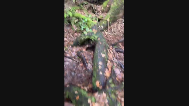 Diegomorbo_str 11-02-2024 Recorded Video love