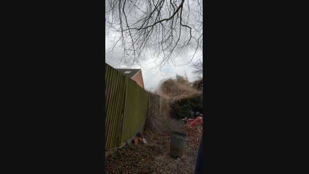 Maxlad18 11-02-2024 Recorded Video show