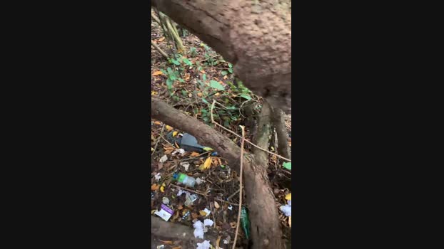 Nado1santos 10-02-2024 Recorded Video Cam
